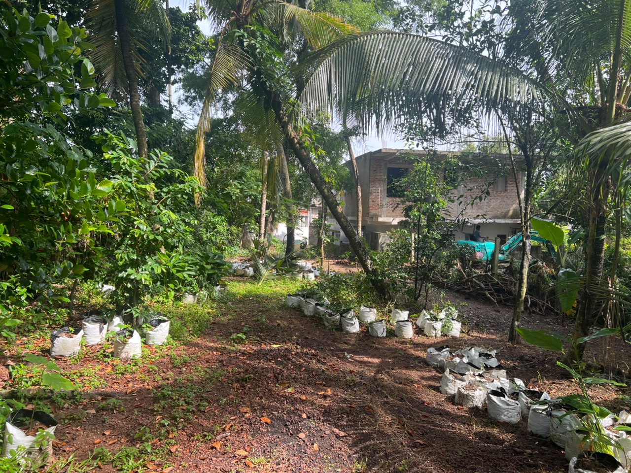 18 Perch Land for Sale in Mulleriyawa