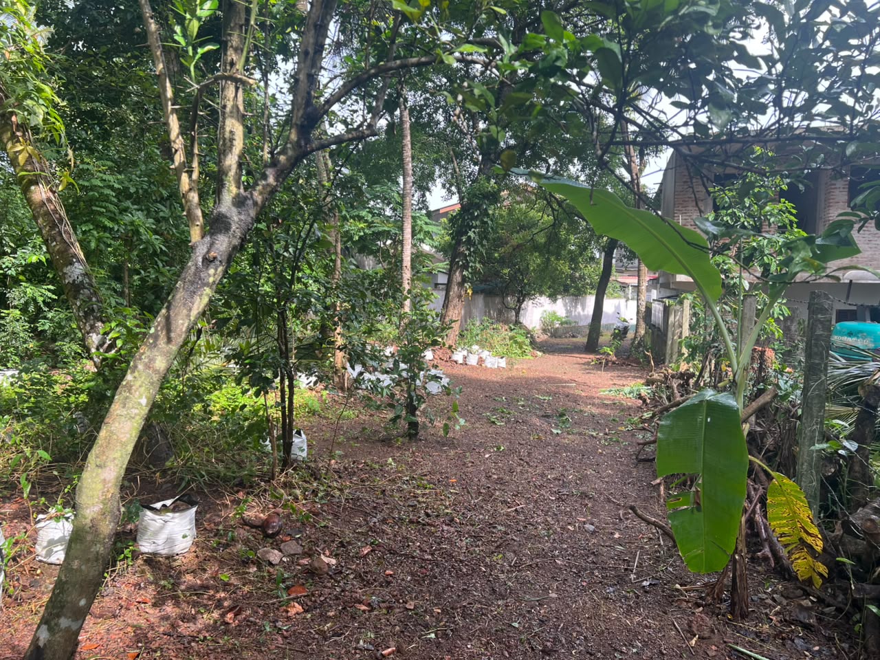 18 Perch Land for Sale in Mulleriyawa