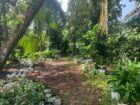 18 Perch Land for Sale in Mulleriyawa