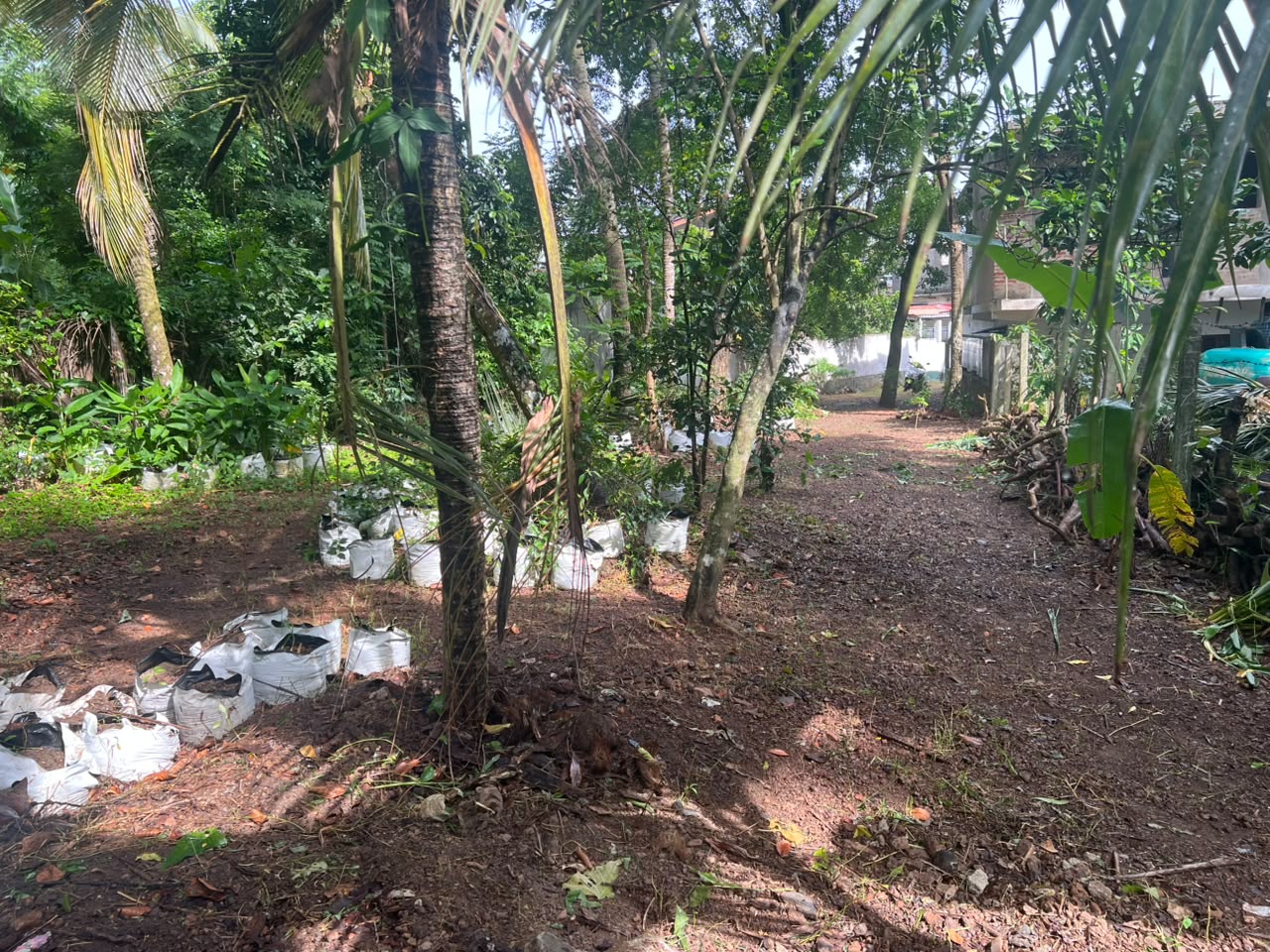 18 Perch Land for Sale in Mulleriyawa