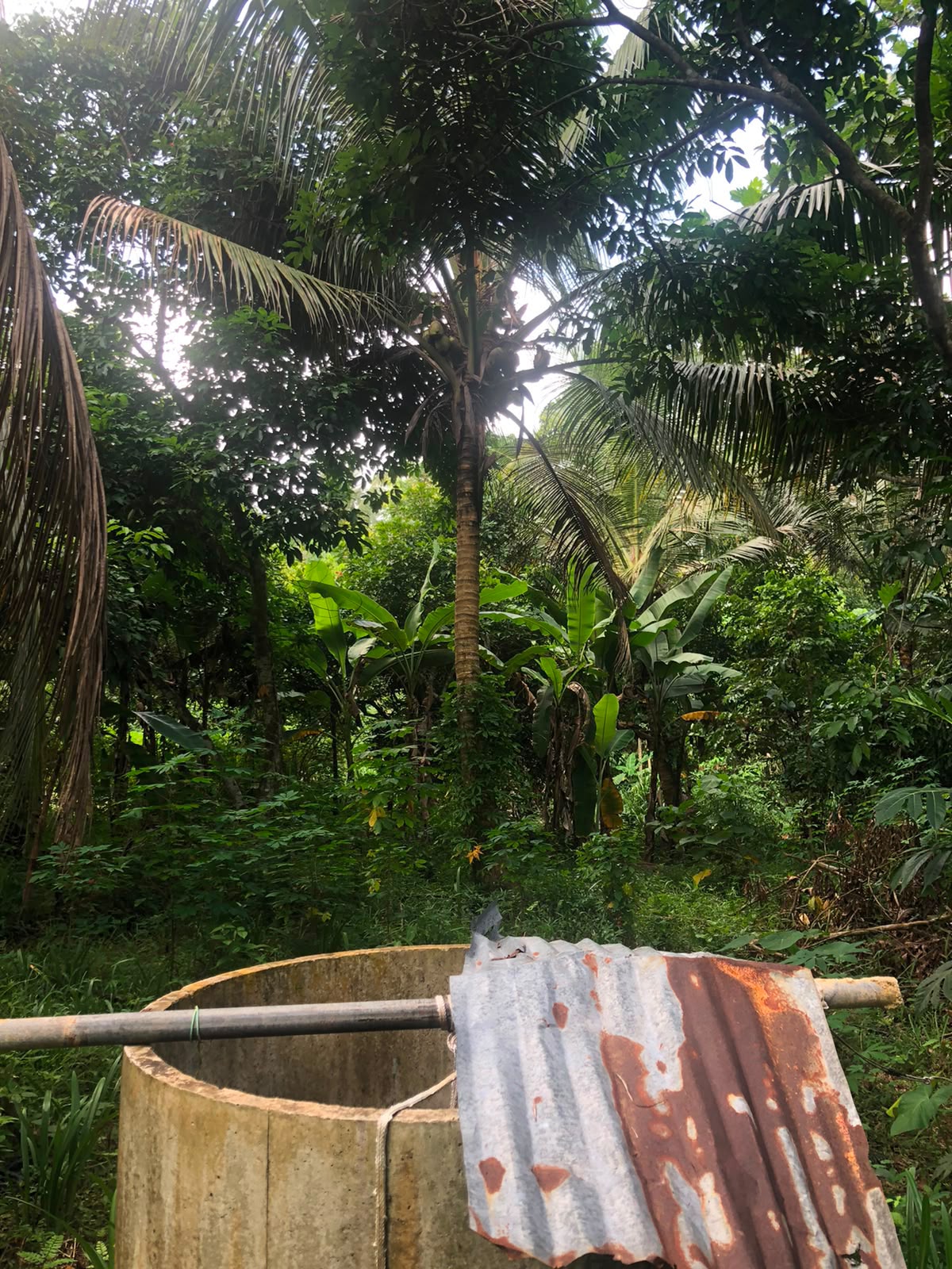 වටිනා ඉඩමක් විකිණීමට – පහලමුල්ල, ගොඩගම, එල්ලක්කල