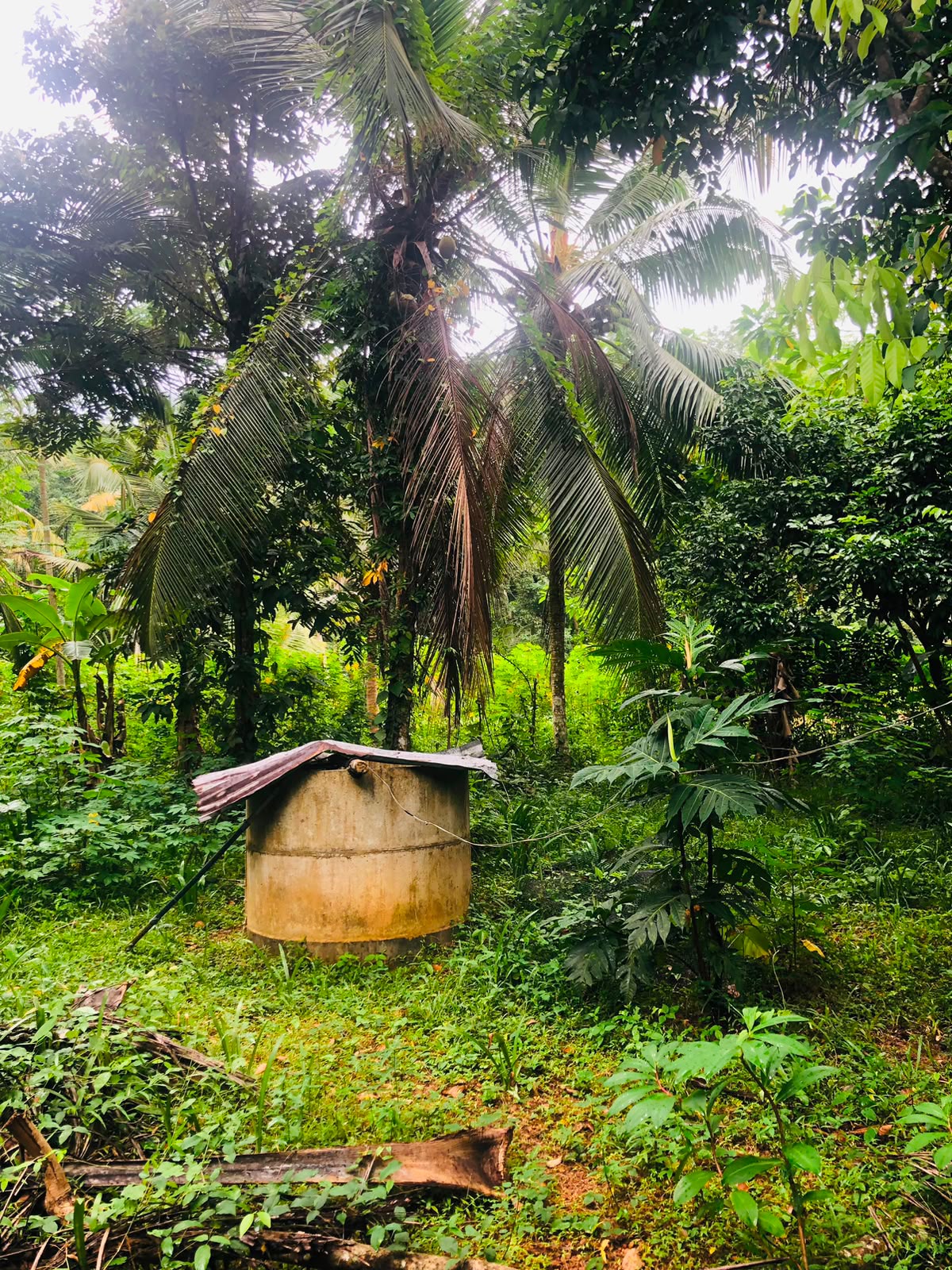 වටිනා ඉඩමක් විකිණීමට – පහලමුල්ල, ගොඩගම, එල්ලක්කල