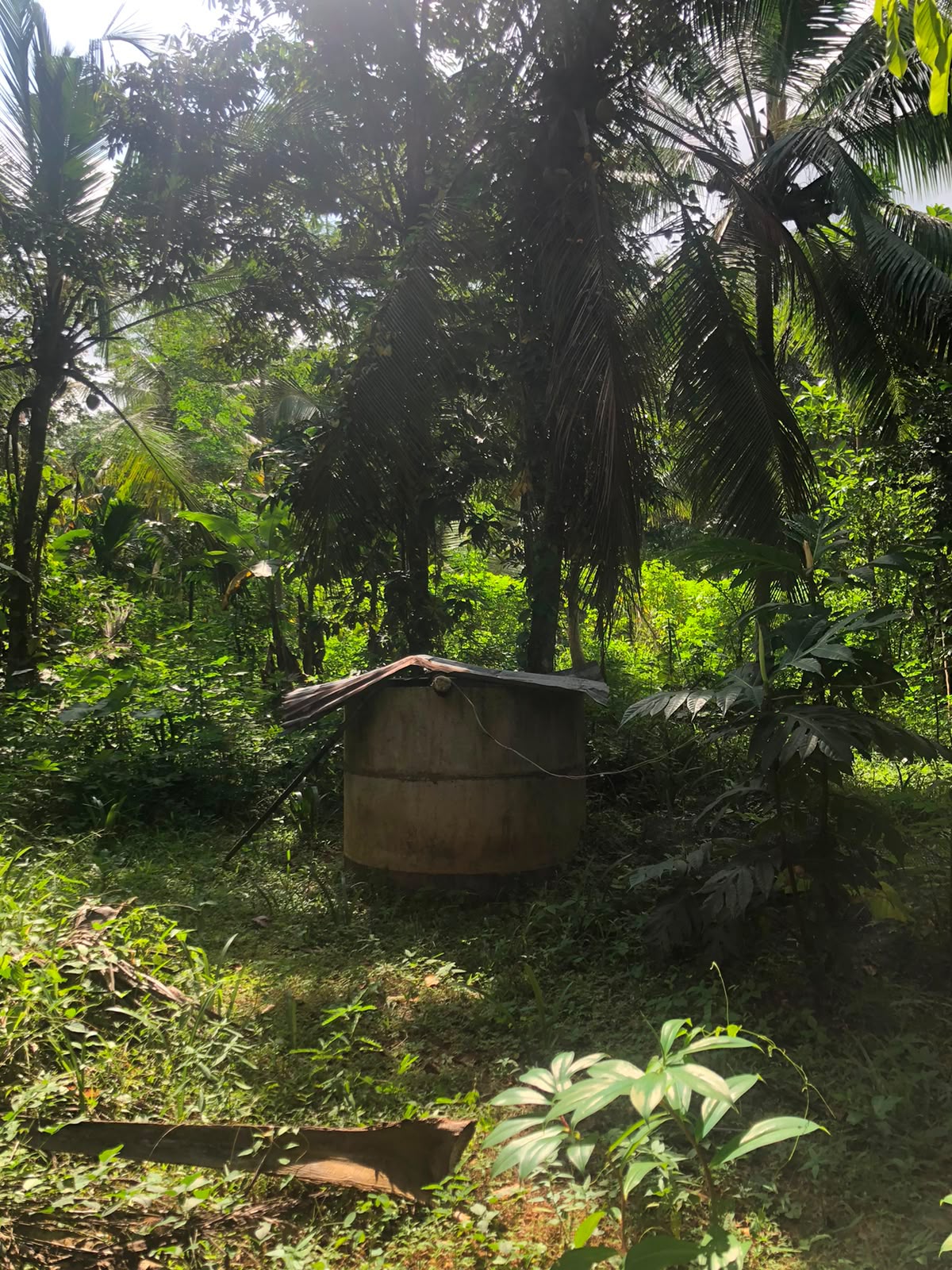 වටිනා ඉඩමක් විකිණීමට – පහලමුල්ල, ගොඩගම, එල්ලක්කල