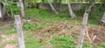 Land for Sale Tangalla