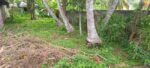 Land for Sale Tangalla