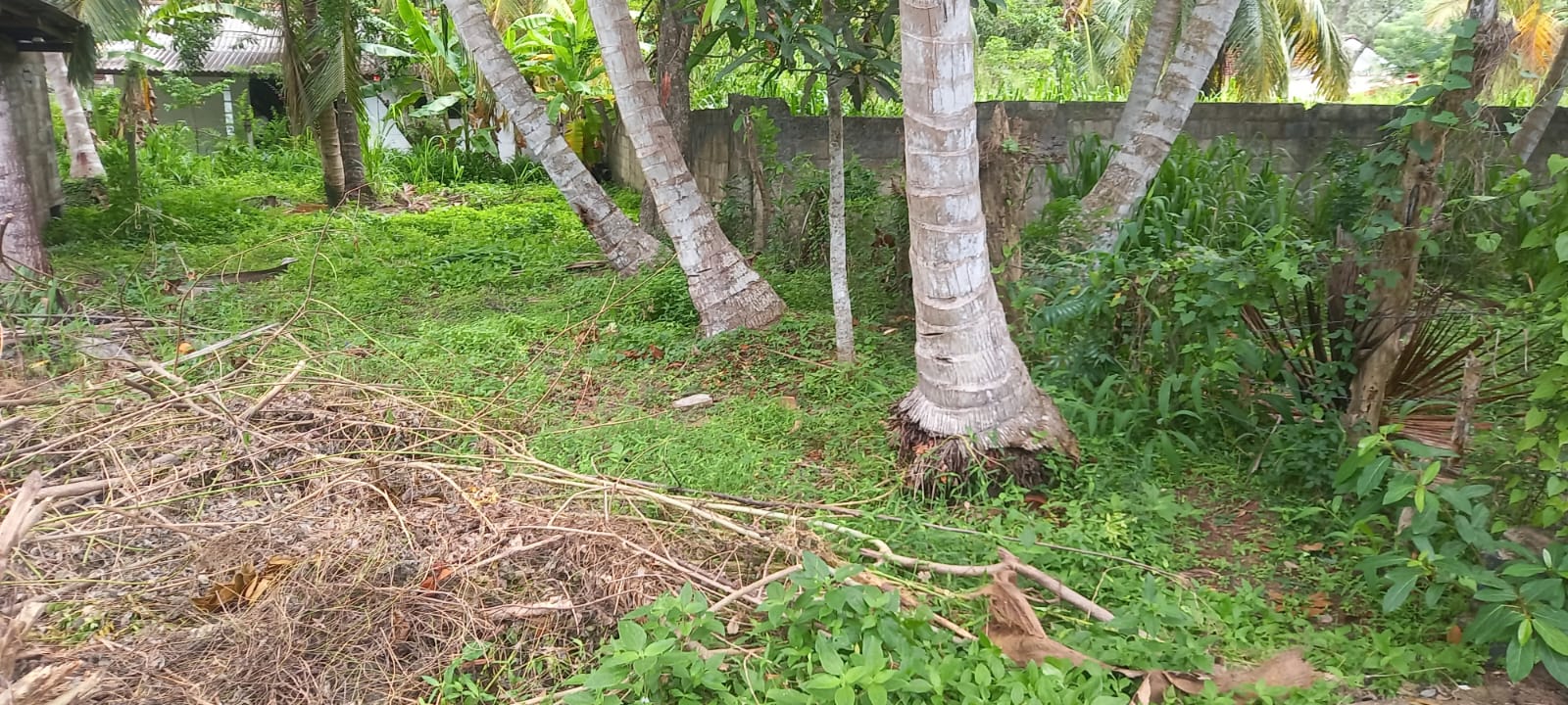 Land for Sale Tangalla