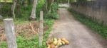 Land for Sale Tangalla