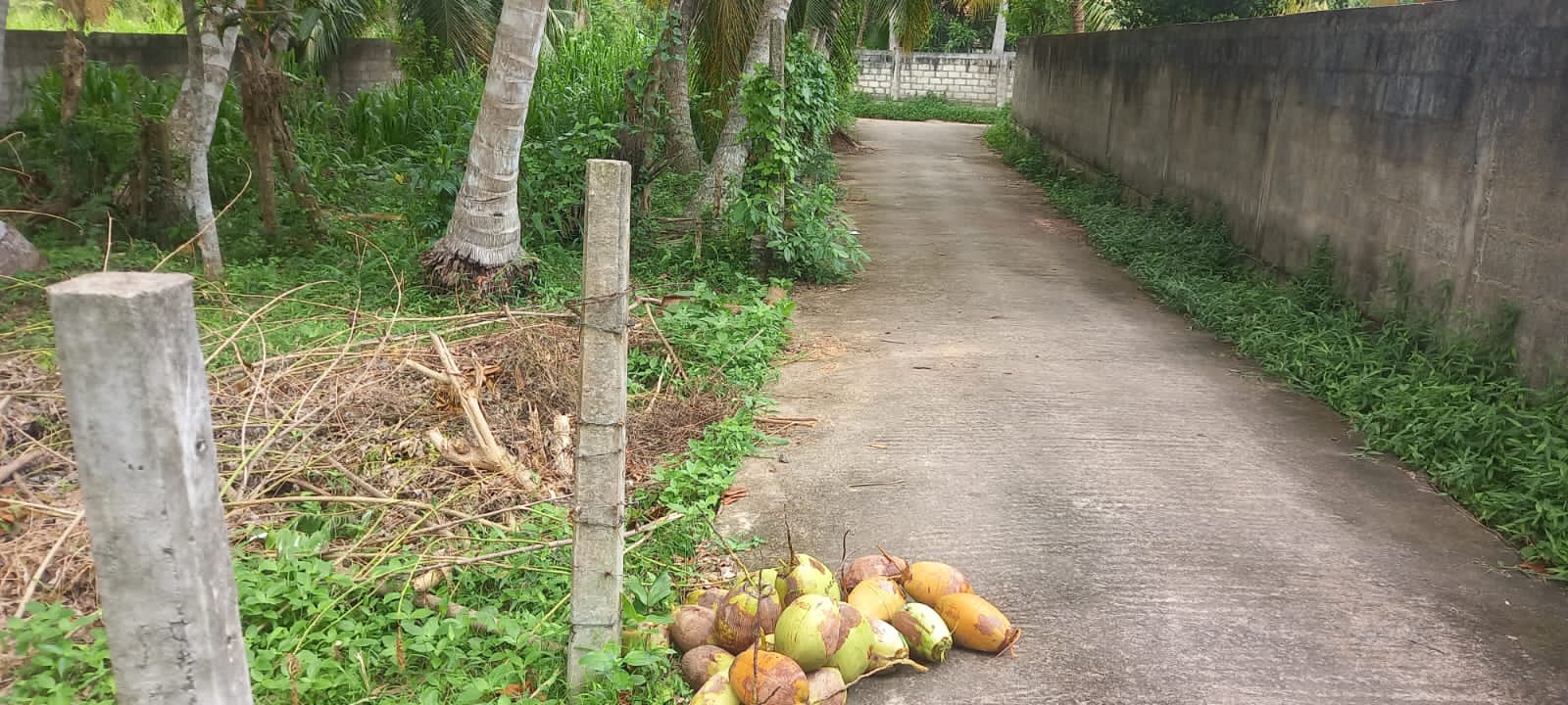 Land for Sale Tangalla
