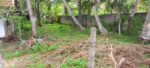 Land for Sale Tangalla