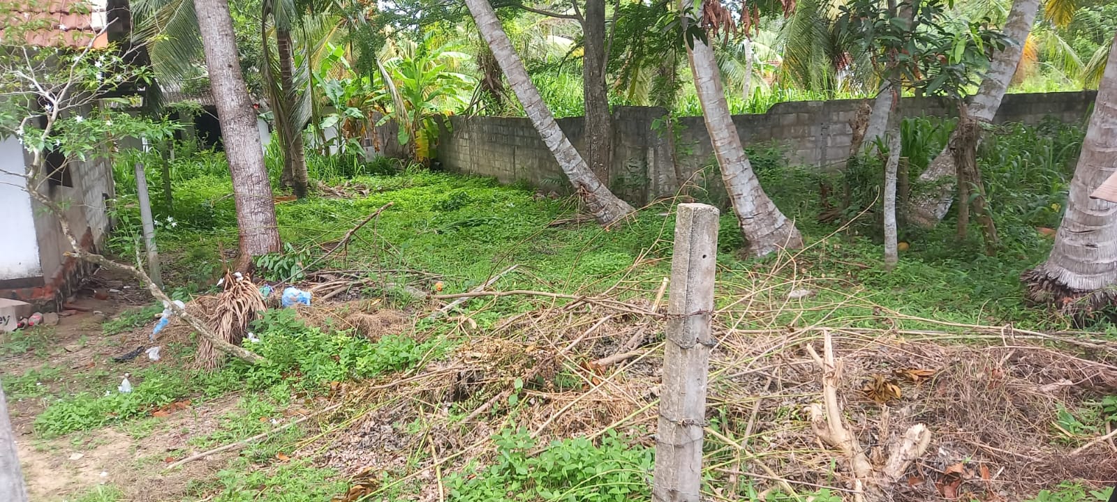 Land for Sale Tangalla