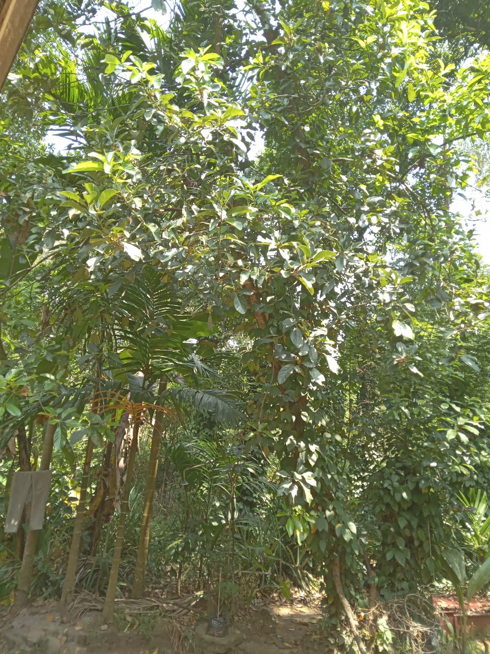 මීගහකිවුලෙන් නිවසක් සමඟ පර්චස් 185ක සරුසාර ඉඩමක් විකිණීමට