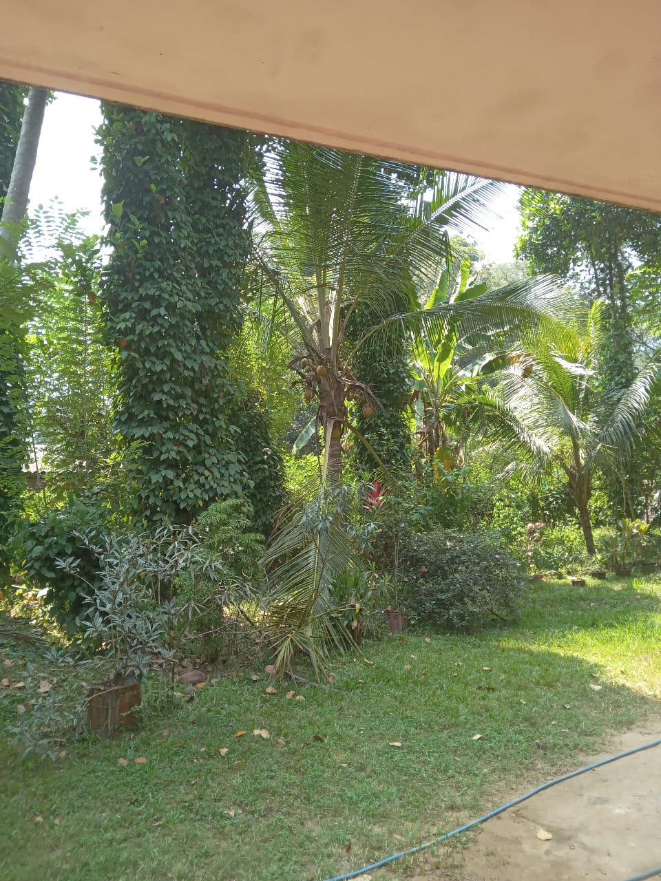 මීගහකිවුලෙන් නිවසක් සමඟ පර්චස් 185ක සරුසාර ඉඩමක් විකිණීමට