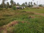 Residential Land For Sale In Chilaw