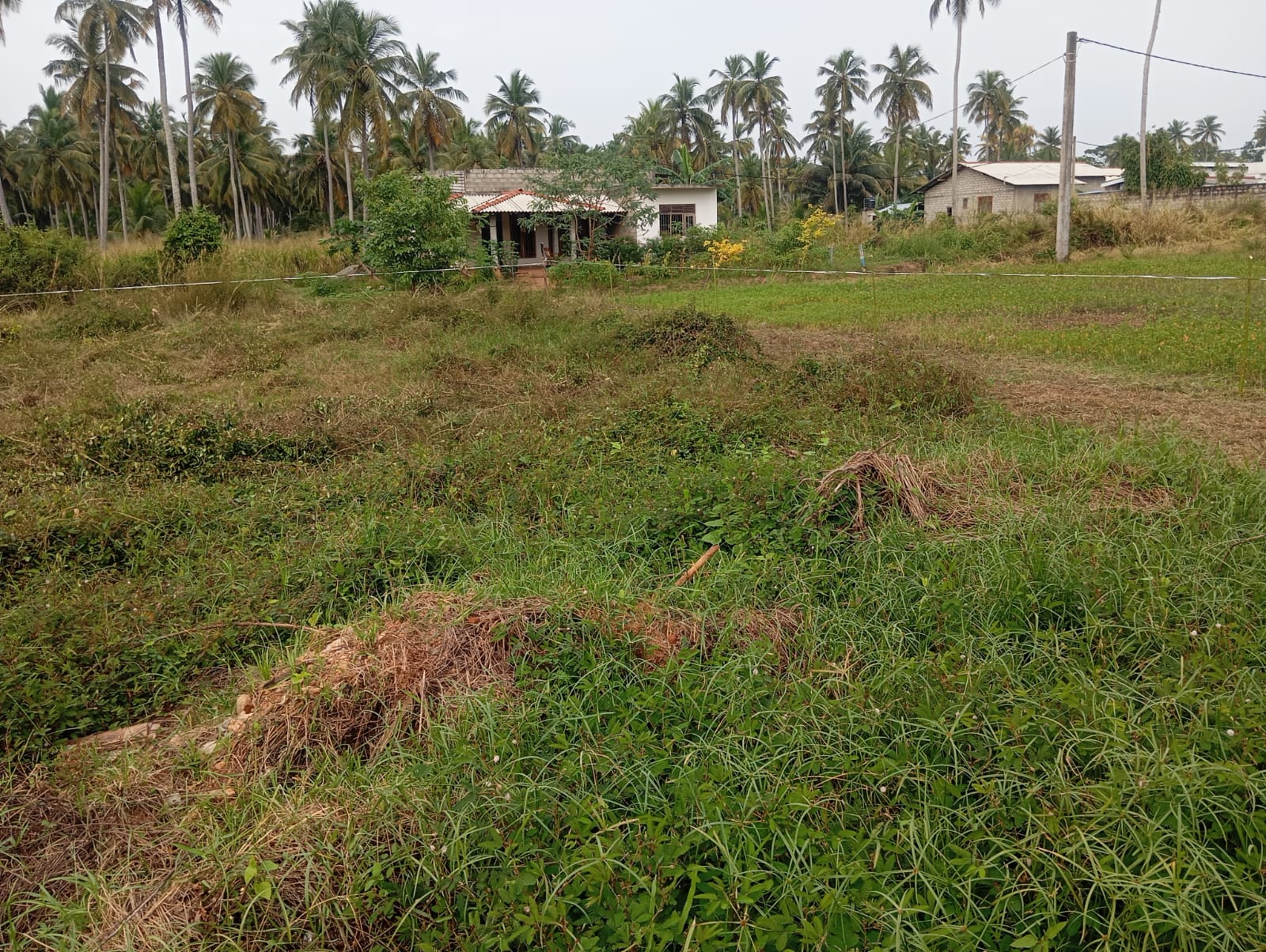 Residential Land For Sale In Chilaw