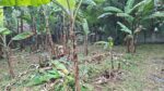 18 Perches of Prime Land for Sale in Bokundara