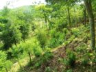 Land for Sale in Wawulugala