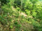 Land for Sale in Wawulugala