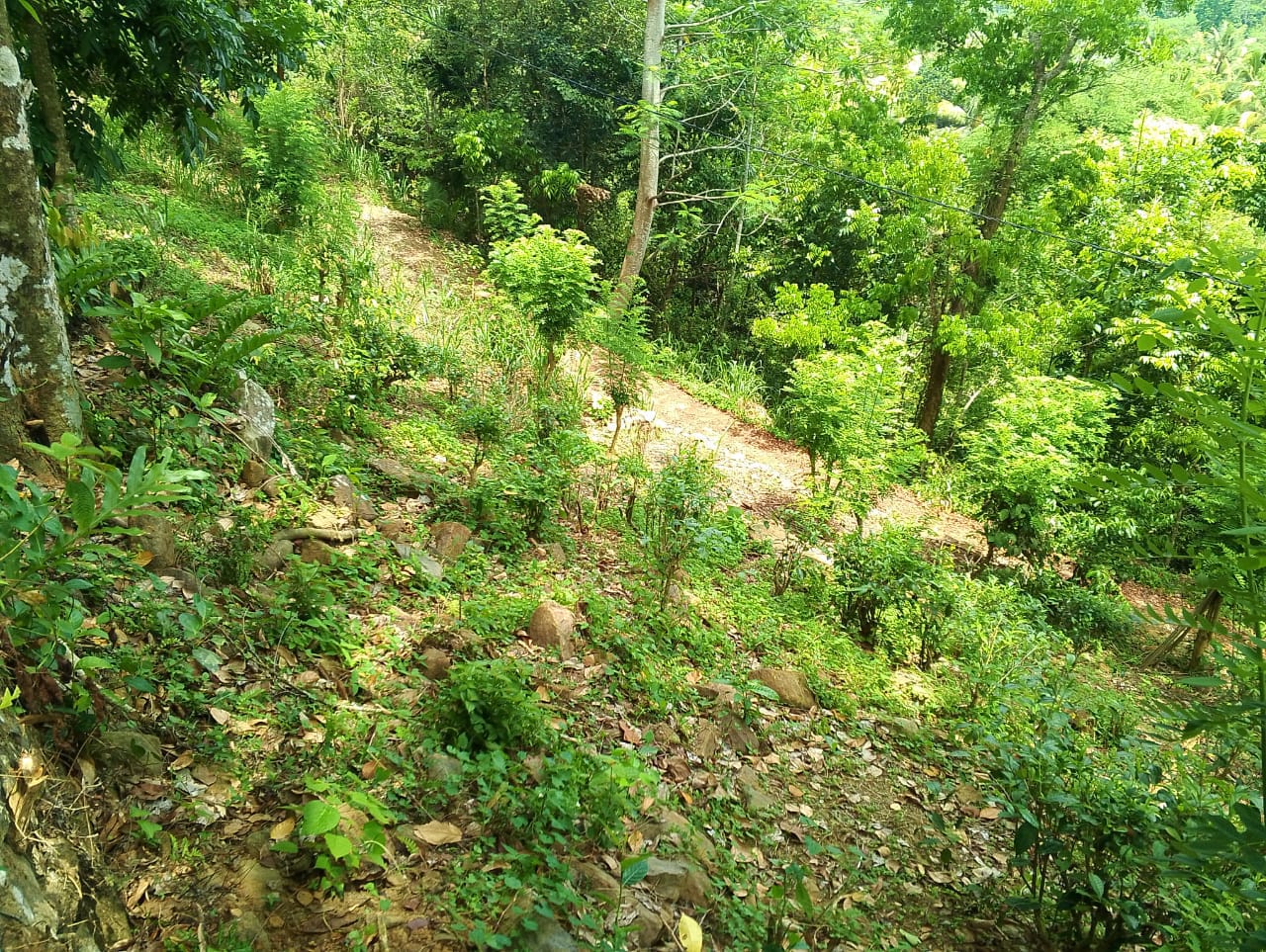 Land for Sale in Wawulugala