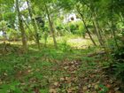 Land for Sale in Wawulugala
