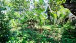 Two Story House with Land for Sale in Yakkala