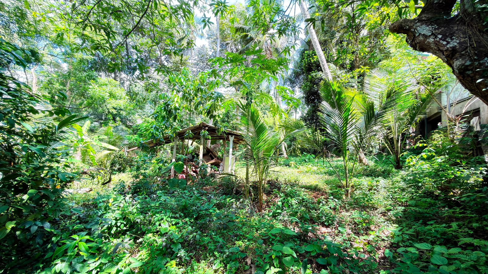 Two Story House with Land for Sale in Yakkala