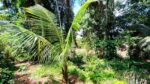 Two Story House with Land for Sale in Yakkala