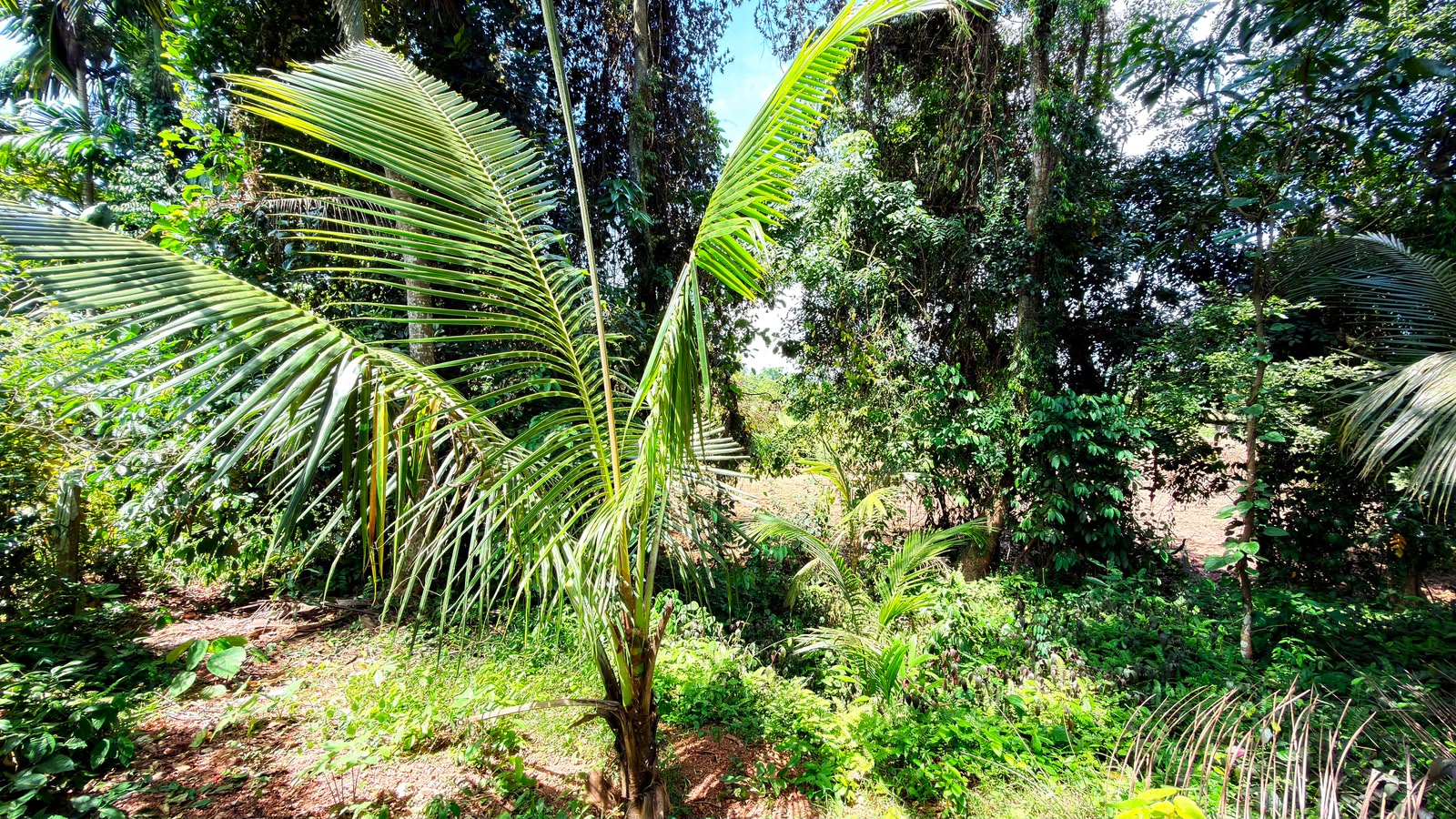 Two Story House with Land for Sale in Yakkala