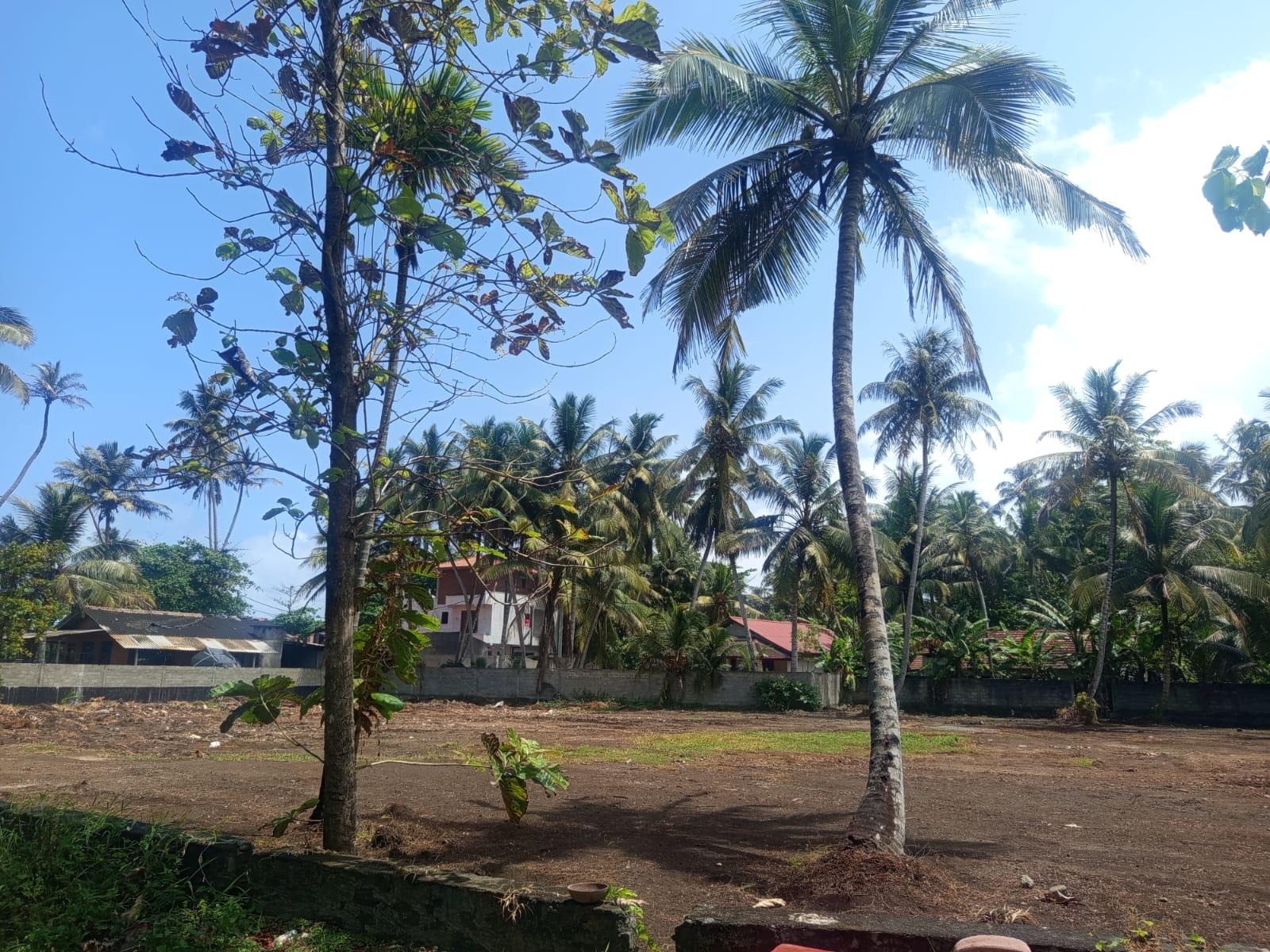 Prime Beachfront Land for Sale – Akurala, Hikkaduwa