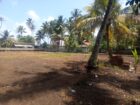 Prime Beachfront Land for Sale – Akurala, Hikkaduwa