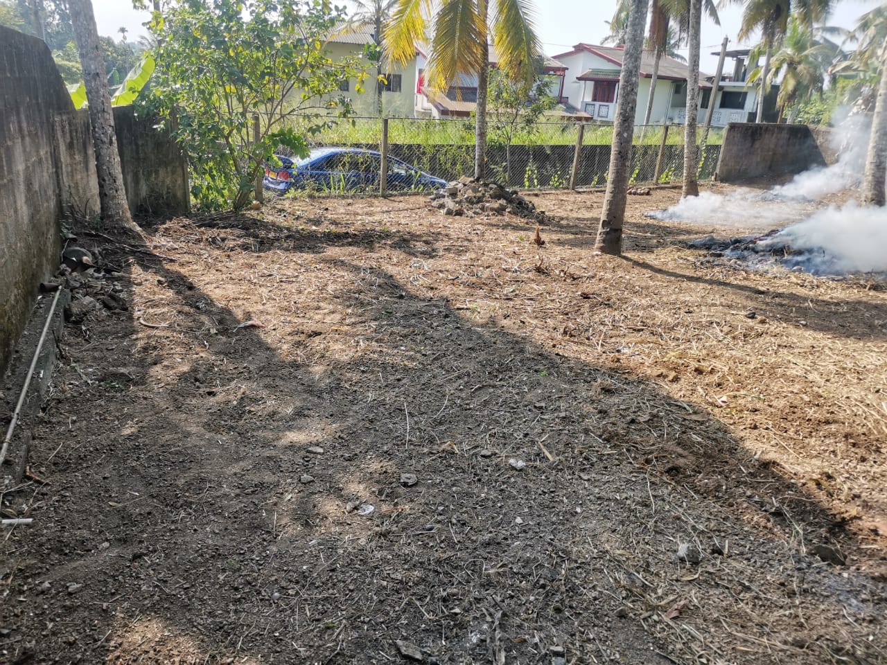 Land Sale For Sale In Piliyandala