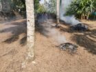 Land Sale For Sale In Piliyandala