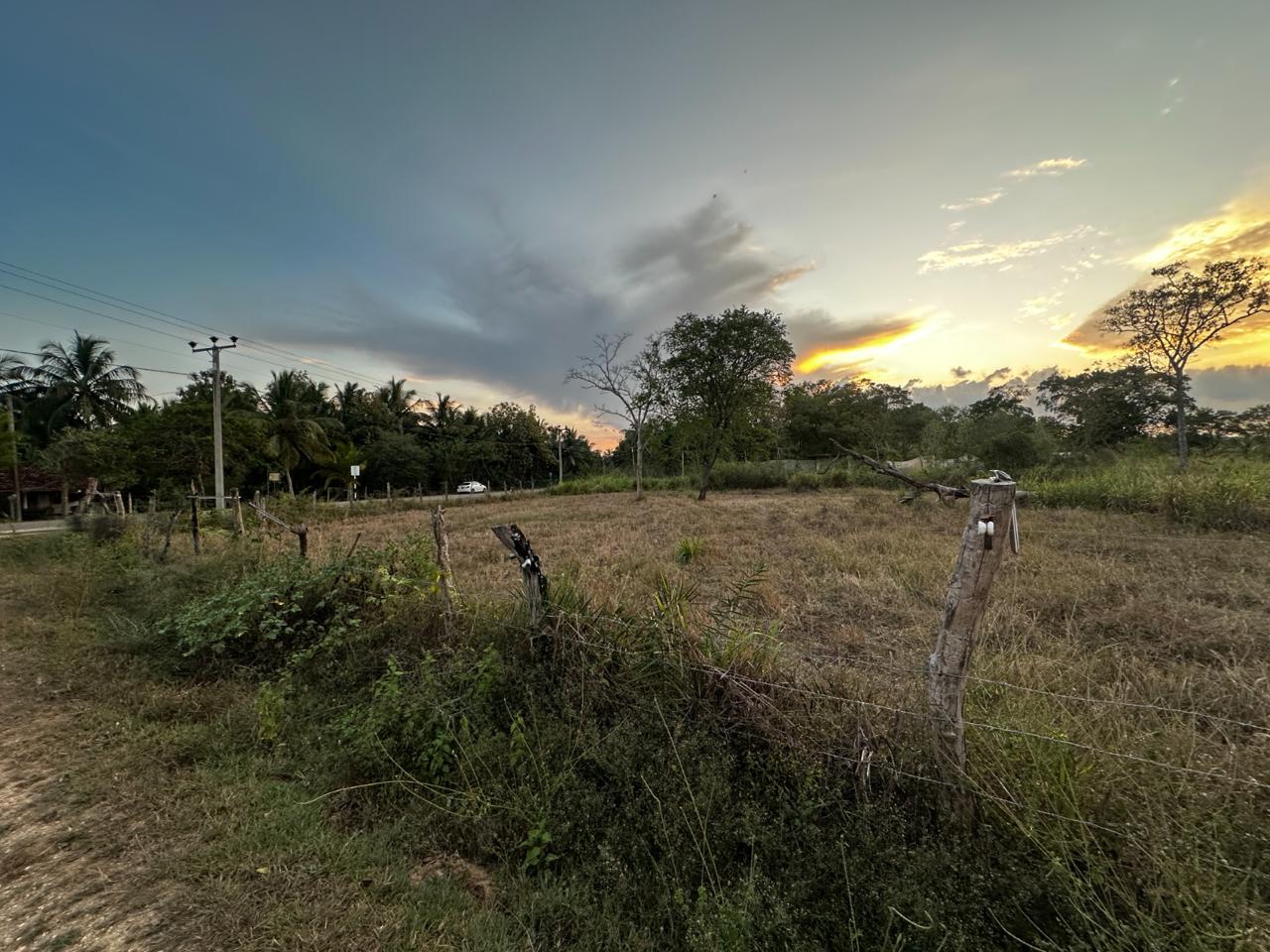 Land for Sale in Thanamalwila තණමල්විලින් අගනා ඉඩමක් වහාම විකිණීමට
