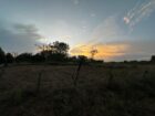 Land for Sale in Thanamalwila තණමල්විලින් අගනා ඉඩමක් වහාම විකිණීමට