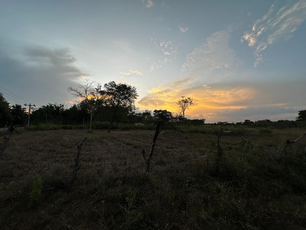 Land for Sale in Thanamalwila තණමල්විලින් අගනා ඉඩමක් වහාම විකිණීමට