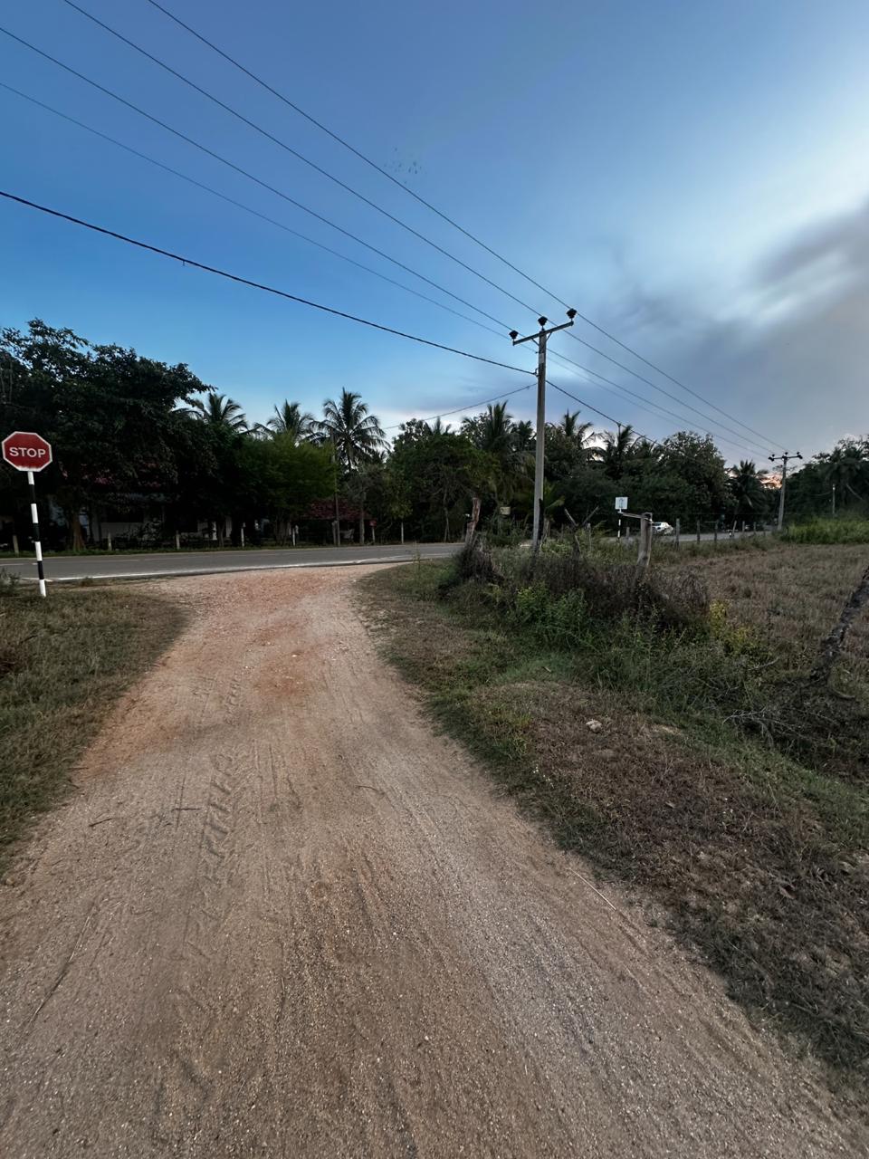 Land for Sale in Thanamalwila තණමල්විලින් අගනා ඉඩමක් වහාම විකිණීමට