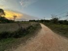 Land for Sale in Thanamalwila තණමල්විලින් අගනා ඉඩමක් වහාම විකිණීමට