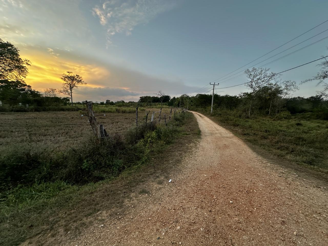 Land for Sale in Thanamalwila තණමල්විලින් අගනා ඉඩමක් වහාම විකිණීමට