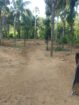Land for Sale Balangoda