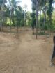 Land for Sale Balangoda