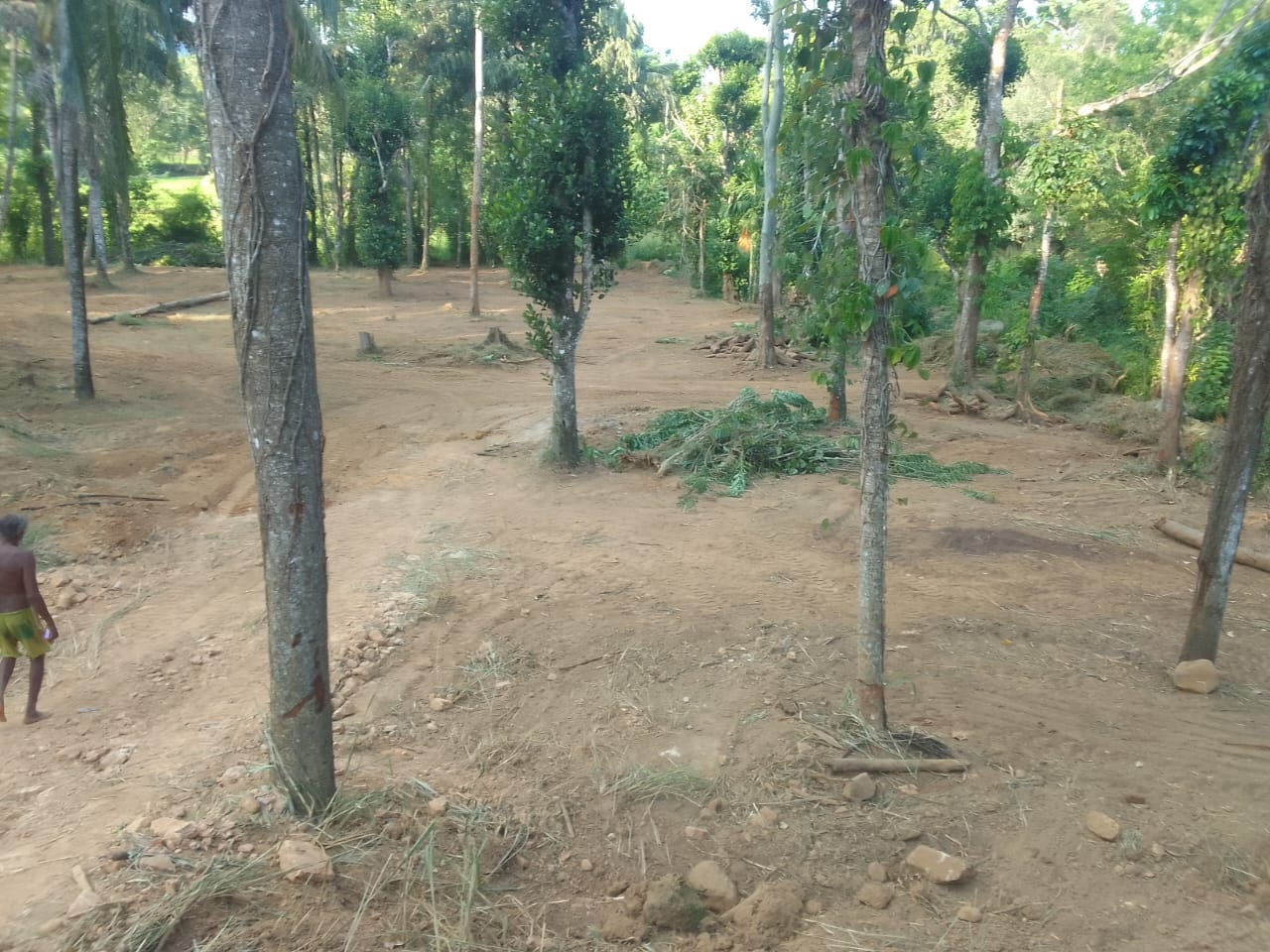 Land for Sale Balangoda