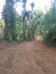 Land for Sale Balangoda