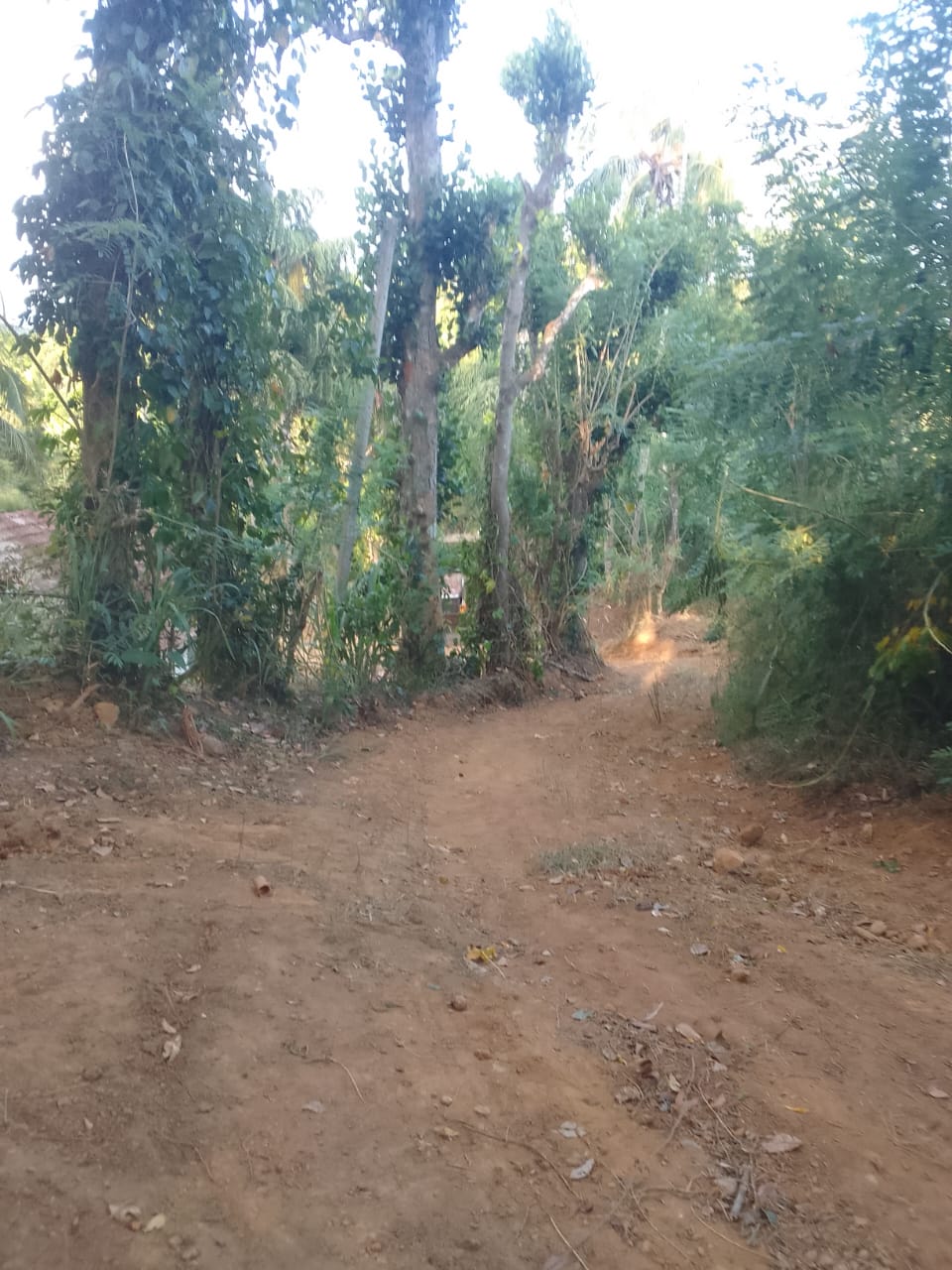 Land for Sale Balangoda