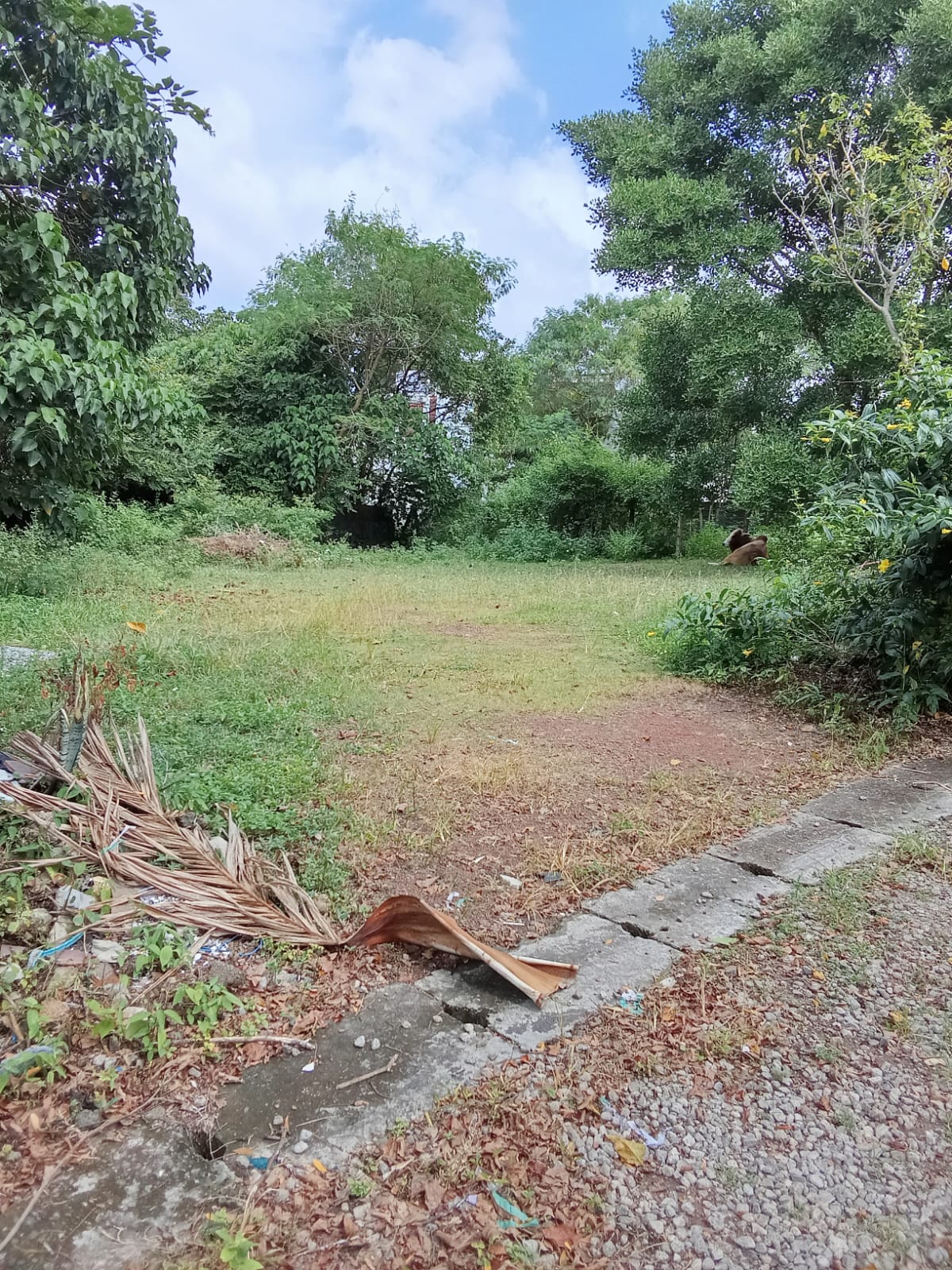 22 Perch Land at Hokandara, Near Wanaguru Walauwe