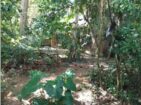 Tourism Land for Sale in Hikkaduwa