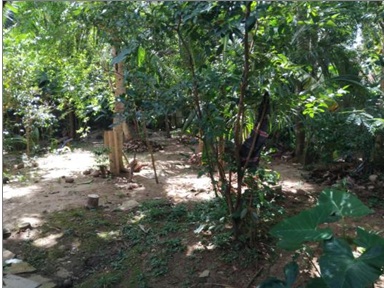 Tourism Land for Sale in Hikkaduwa