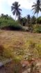 Prime Residential Land for Sale – Moor Street, Mannar