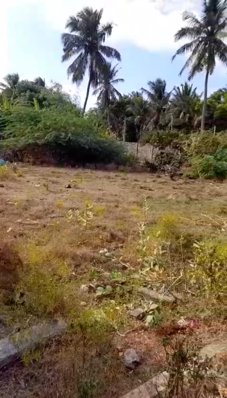 Prime Residential Land for Sale – Moor Street, Mannar