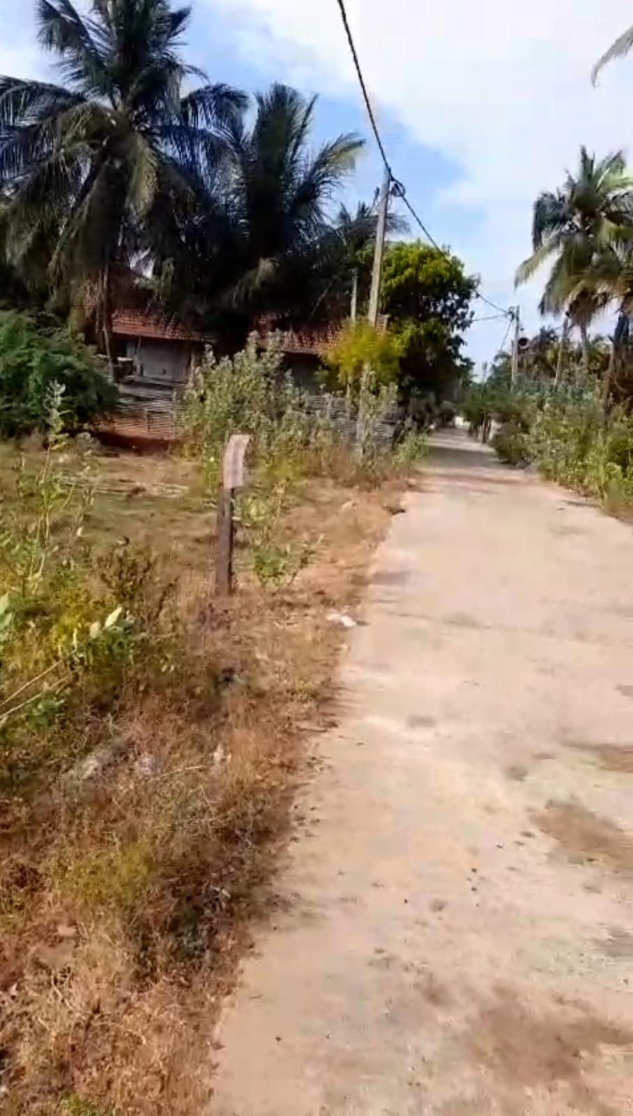 Prime Residential Land for Sale – Moor Street, Mannar