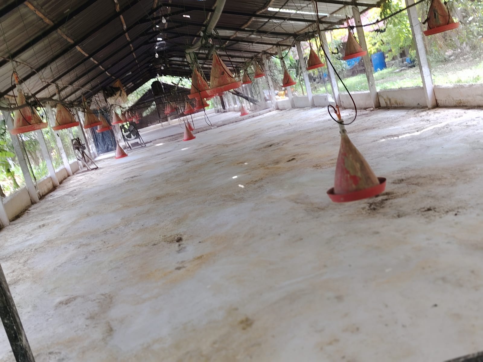 Poultry Farm for Sale Kanaththewewa