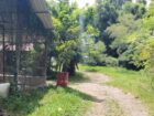 Poultry Farm for Sale Kanaththewewa